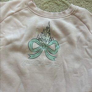 Walt Disney World Pink Graphic Sweatshirt